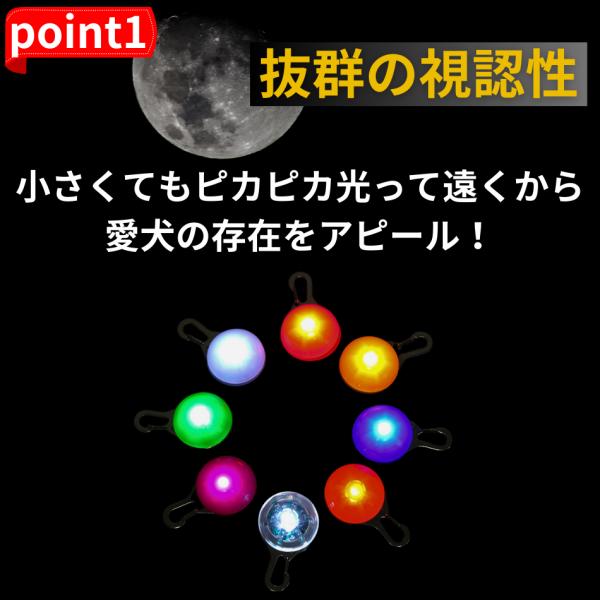 blacklucky_16-1_3_d_20231121191426