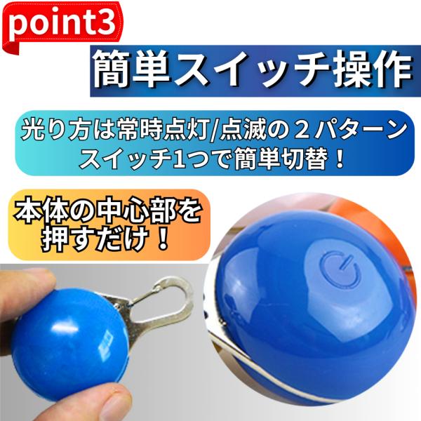 blacklucky_16-1_5_d_20231121191438