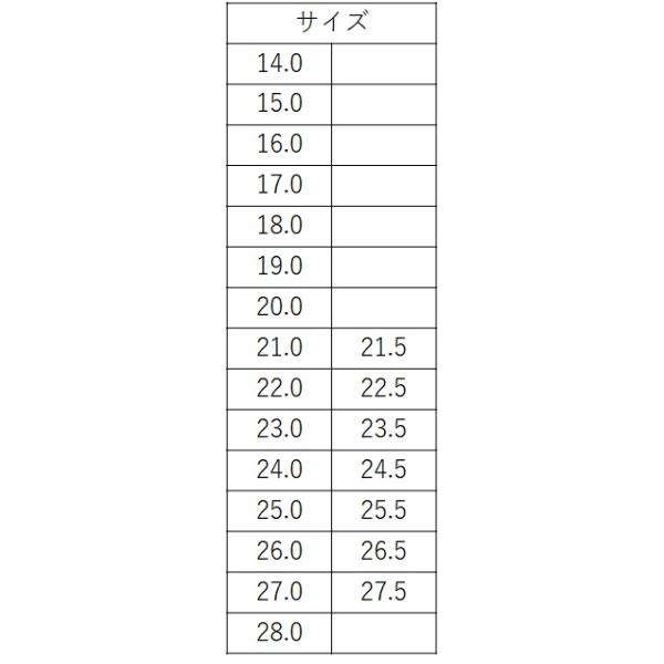 湯島小学校 上履き（体育館履き兼用）