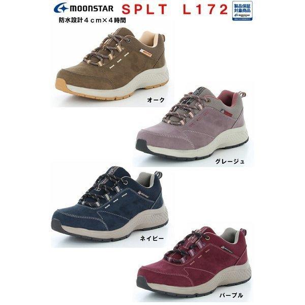 h݌v JWAV[Y fB[X SPLT L172 [X^[