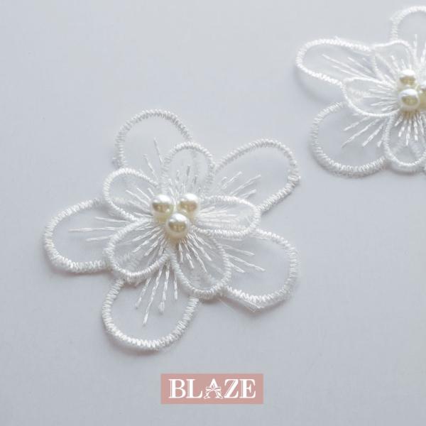 blaze-japan_ct-d-100187