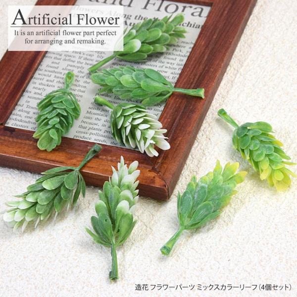  t[ p[c ~bNXJ[ [t 4Zbg BLAZE pp\ nhCh |  AW CN ANZT[ p[c 킢 