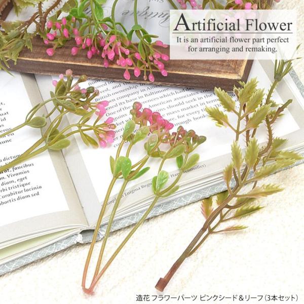  t[ p[c sNV[h  [t 3{Zbg BLAZE pp\ nhCh  | AW CN ANZT[ p[c CeA 