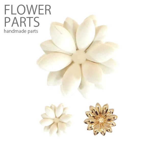 ^ t[  fUC BLAZE ^p[c nhCh pp\ | AW ANZT[p[c Vv sAX CO lbNX