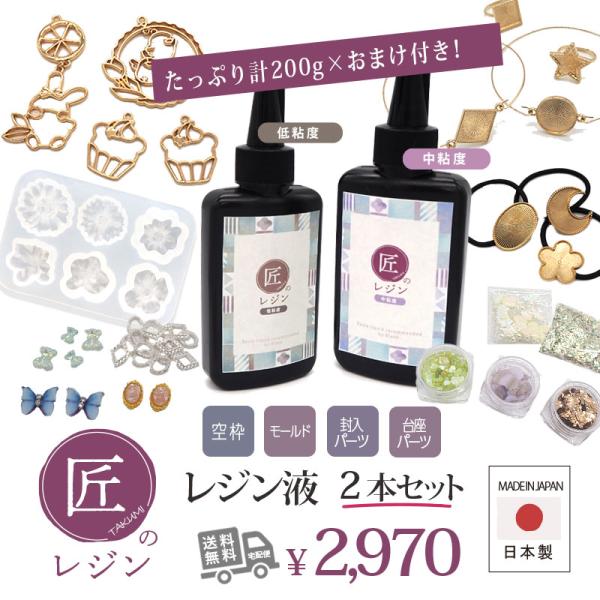 BLAZE レジン液 日本製 国産 透明 低粘度 中粘度 2本セット 100g×2 UV