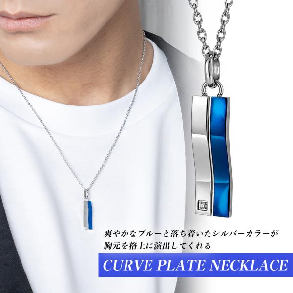カーブプレートネックレス【ステンレス ネックレス メンズ レディース BLESS ブレス】 送料無料