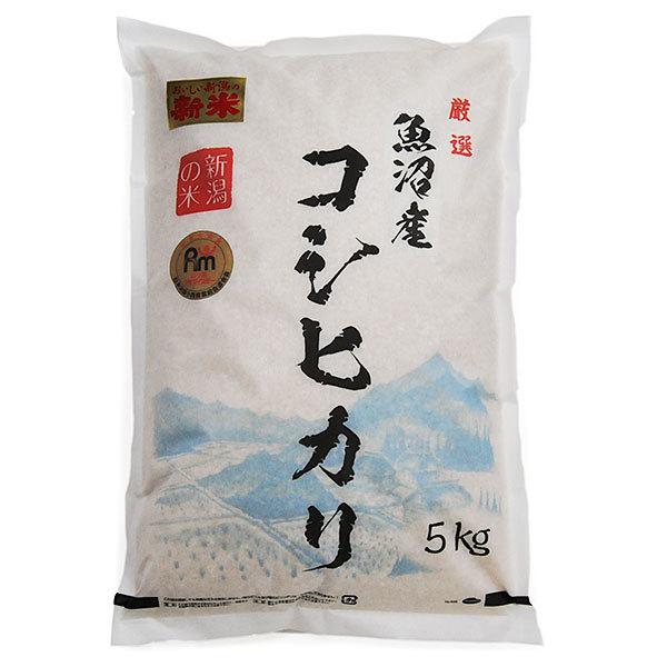 かおりん様　予約分　魚沼 魚沼産こしひかり180g×10個