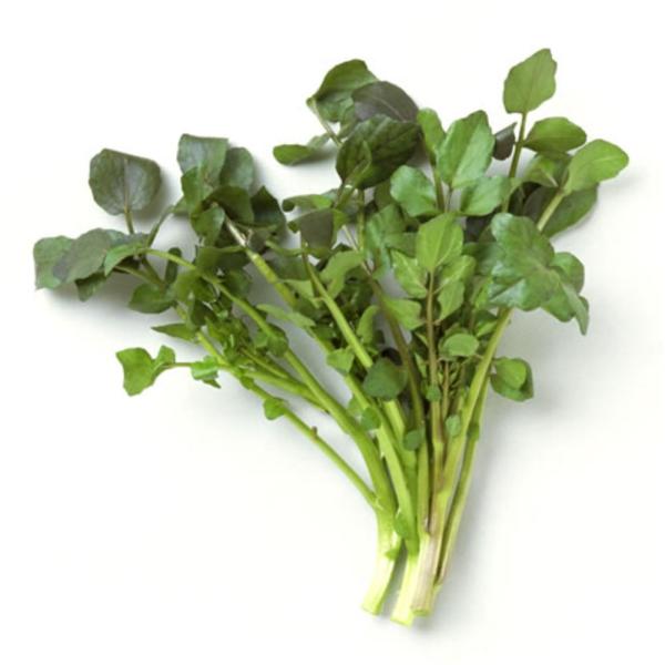 水耕栽培と養殖を掛け合わせた、完全循環型農業（アクアポニックス）で栽培された野菜です。植物の水耕栽培は魚の飼育装置から送られる飼育水で栽培されます。このため、有機栽培より、安全で経済的な野菜が育ちます。●農薬、化学肥料、除草剤を使わない●土...