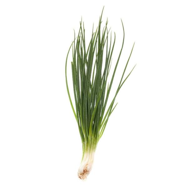 ■この商品は【貴方だけの予約栽培】チャイブです。　・ご注文をいただいてから種をまき、2か月後に収穫します。　・お客様専用の野菜として大切に育てます。　・収穫した翌日に弊社から発送しますので、新鮮そのものです。■「チャイブ」は、チャイブはネギ...