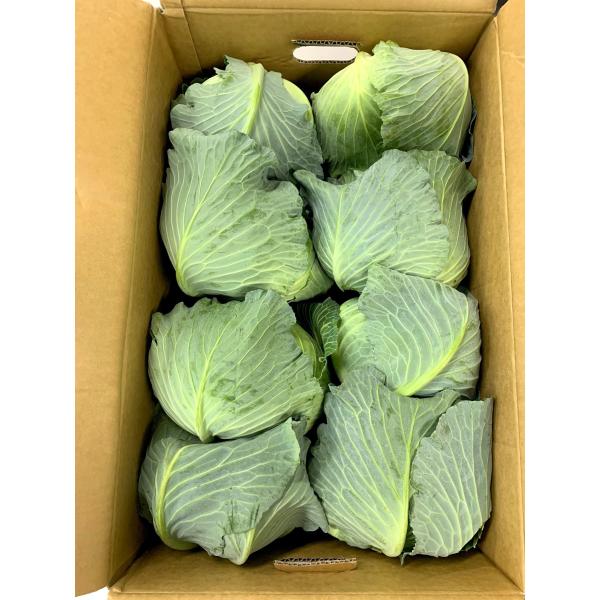 朝・市場に出荷された新鮮な野菜・果物 をその日の夕方に発送致します！（水・日を除く） キャベツは葉が柔らかく癖のない味なので、様々な料理に使われる野菜です。ビタミンC、ビタミンUを豊富に含みます。※画像は商品と異なる場合がございます。※産地...