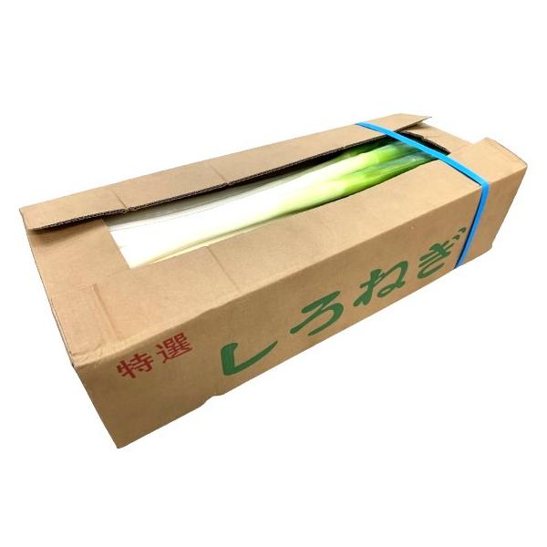 朝・市場に出荷された新鮮な野菜・果物 をその日の夕方に発送致します！（水・日を除く） 料理などに使うことも多く、特に冬の時期は旬なため食べる機会が多くなると言われる長ネギです。※画像は商品と異なる場合がございます。※産地が変更になる可能性が...