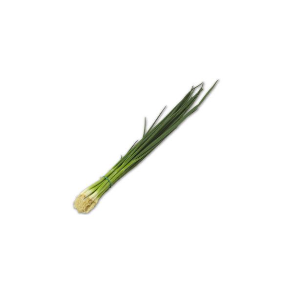朝・市場に出荷された新鮮な野菜・果物 をその日の夕方に発送致します！（水・日を除く） 　　日本 の青 ネギ （葉ネギ）の一種です。太めの品種と細めのものとがある。鍋などによく使われている白ねぎ（長ねぎ）とは違い、葉全体が緑色なので葉ねぎとも...