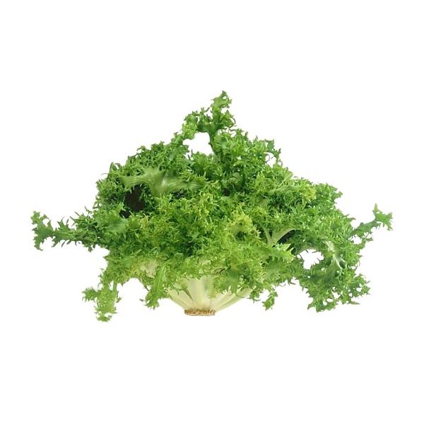 朝・市場に出荷された新鮮な野菜・果物 をその日の夕方に発送致します！（水・日を除く） エンダイブはレタスのようなひらひらとした葉っぱが特徴ですが、アンディーブ・チコリは、チューリップのつぼみのような円錐型のものであります。一見普通の野菜のよ...