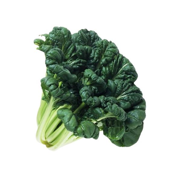 朝・市場に出荷された新鮮な野菜・果物 をその日の夕方に発送致します！（水・日を除く）ターサイは中国野菜のひとつ！「押しつぶされた」といった意味です。白菜や青梗菜の仲間で、ベータカロテン豊富のため、この時期におすすめです！炒めると茎の部分の歯...