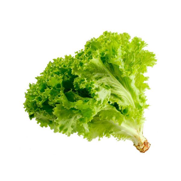 朝・市場に出荷された新鮮な野菜・果物 をその日の夕方に発送致します！（水・日を除く） 　　サニーレタスは玉レタスに比べて栄養価が高い緑黄色野菜で、β-カロテンは100gあたり2000μg含まれています。ビタミンC・B1・B2・B6・K、葉酸...