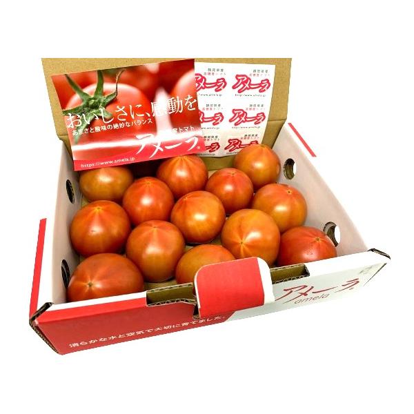 朝・市場に出荷された新鮮な野菜・果物 をその日の夕方に発送致します！（水・日を除く） アメーラトマトはフルーツトマトの1種です。味が濃く甘みも強いため、まるでフルーツのように生でかじりつくのに適した濃厚なトマトです。※画像は商品と異なる場合...