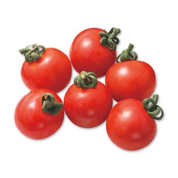 朝・市場に出荷された新鮮な野菜・果物 をその日の夕方に発送致します！（水・日を除く） 　　果実の大きさが５ｇ〜３０ｇ程の小さなトマトです。生のままお弁当に入れたり、サラダのトッピングとして使う事が多いですが、ミニトマトは味も濃いので、スープ...