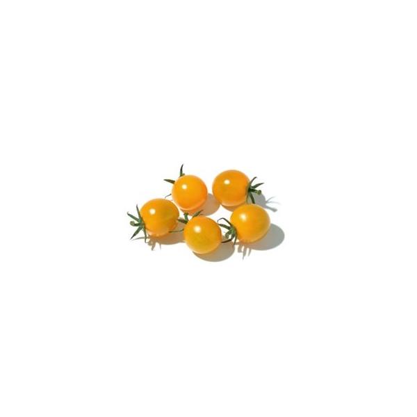 朝・市場に出荷された新鮮な野菜・果物 をその日の夕方に発送致します！（水・日を除く） 果実の大きさが5g〜30g程の小さなトマトです。生のままお弁当に入れたり、サラダのトッピングとして使う事が多いですが、ミニトマトは味も濃いので、スープの具...