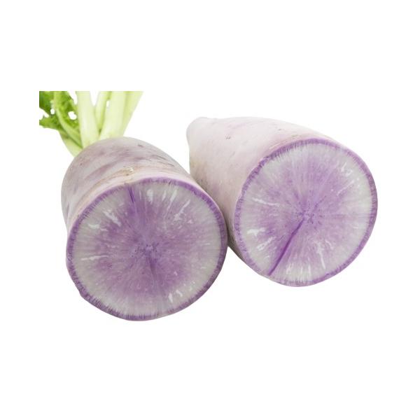 朝・市場に出荷された新鮮な野菜・果物 をその日の夕方に発送致します！（水・日を除く） 外皮は首辺りが濃い紫色で胴から先までは少し薄い紫色で、輪切りにすると果肉の中心部にもうっすらと紫色が入っています。この紫色の色素はアントシアニンで、レモン...