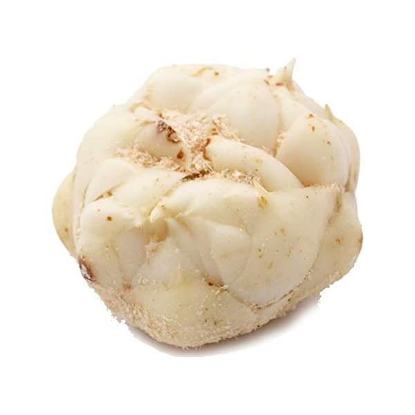 朝・市場に出荷された新鮮な野菜・果物 をその日の夕方に発送致します！（水・日を除く）ねっとりホロホロとした食感とほのかな甘みと微かな苦みにはファンが多いゆり根です。蒸し物やひりょうずの具材として確かな存在感を発揮していることが多く、また和菓...