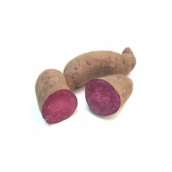 朝・市場に出荷された新鮮な野菜・果物 をその日の夕方に発送致します！（水・日を除く）さつまいもの中で鮮やかな紫色の品種のものを「紫芋」と呼びます。その美しい色と甘さを生かしてジュースやお菓子に加工されることも多いです。※画像は商品と異なる場...