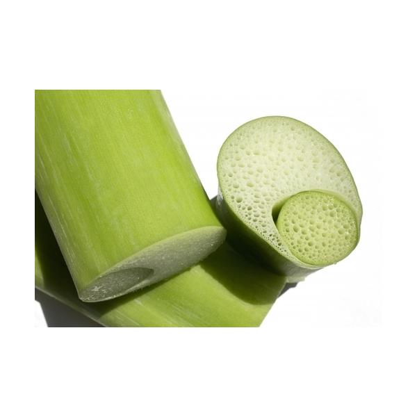 朝・市場に出荷された新鮮な野菜・果物 をその日の夕方に発送致します！（水・日を除く） 　　ハスイモ（蓮芋）は、細い緑色の茎を食べる野菜です。ハスイモは、サトイモ（里芋）と同じ、サトイモ科サトイモ属の常緑多年草です。しかし根の部分を食べるサト...