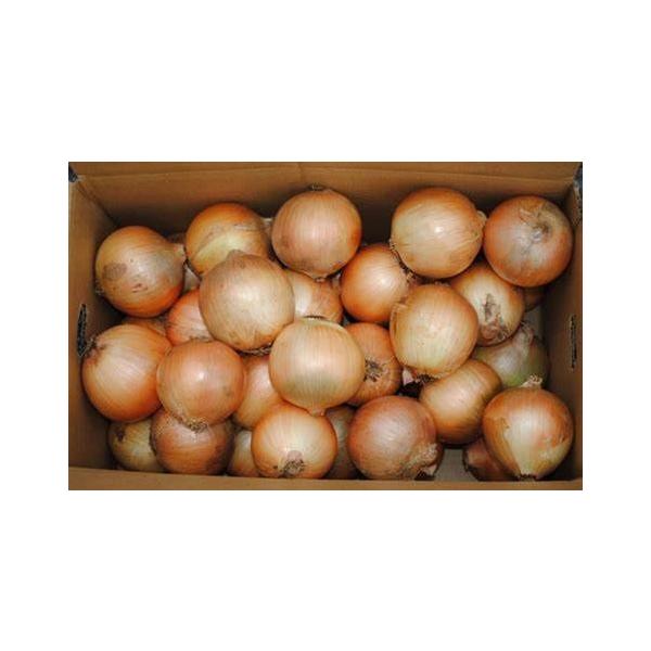 朝・市場に出荷された新鮮な野菜・果物 をその日の夕方に発送致します！（水・日を除く） 独特の辛みや甘みがあり、あらゆる料理に利用されます。旨み成分も多くて西洋料理のベースにも利用され、「西洋のかつおぶし」と呼ばれています。※画像は商品と異な...