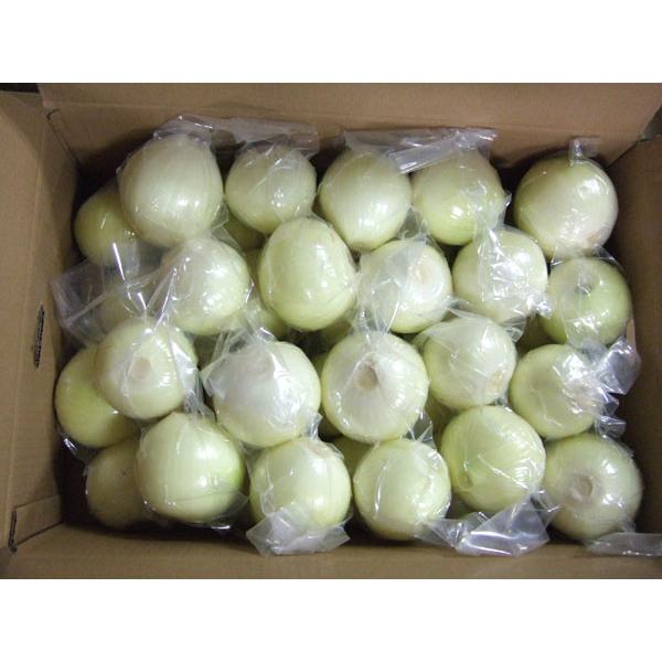 朝・市場に出荷された新鮮な野菜・果物 をその日の夕方に発送致します！（水・日を除く） 独特の辛みや甘みがあり、あらゆる料理に利用されます。皮むき不要で楽々調理！剥く手間いらず！簡単に料理できるので主婦の方にお勧めです。スープ、揚げ物、炒め物...