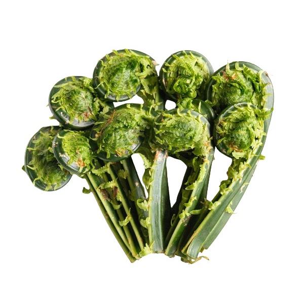 朝・市場に出荷された新鮮な野菜・果物 をその日の夕方に発送致します！（水・日を除く）山菜の中でも、アクが少なくやわらかいこごみです。そのため、おひたしやあえもの、酢のものなどによく合います。また、他の山菜と同様、天ぷらにしても絶品です。※画...