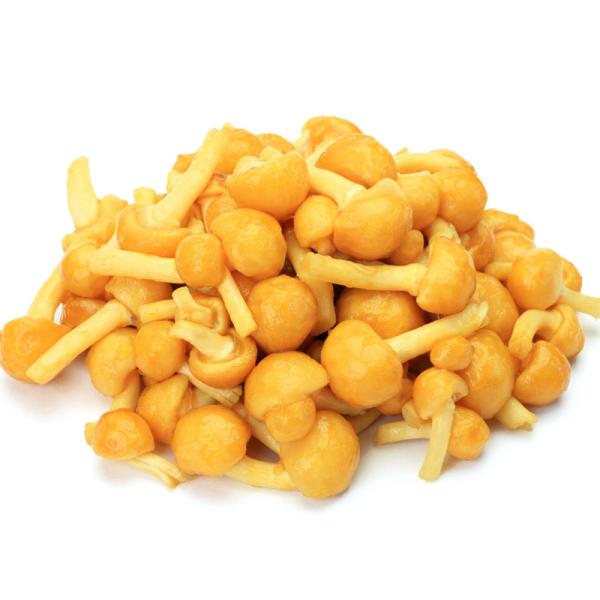 かなめこ様 2個目購入OK 朝市場直行】山形県ほか なめこ（袋）約100g【冷蔵】 : ビーライフ