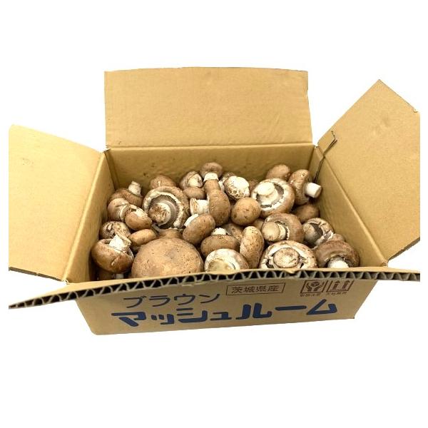 朝・市場に出荷された新鮮な野菜・果物 をその日の夕方に発送致します！（水・日を除く） マッシュルームは、くせのない味わいが人気であり、欧米ではもっともポピュラーなキノコです。ホワイトマッシュルームはサラダやスープに向いていて、ブラウンマッシ...