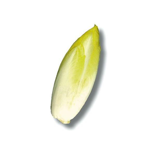 ys꒼szxM[ق@`Rij1@100g@x2Zbgy①z@