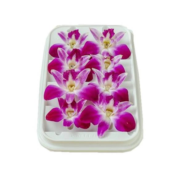 朝・市場に出荷された新鮮な野菜・果物 をその日の夕方に発送致します！（水・日を除く） 飾り用の花です。食用できません。カクテルなどに添えたり、料理の脇役にご利用ください。オリジナルな華やかさの演出など、ご予約などの記念日にご利用いただいても...