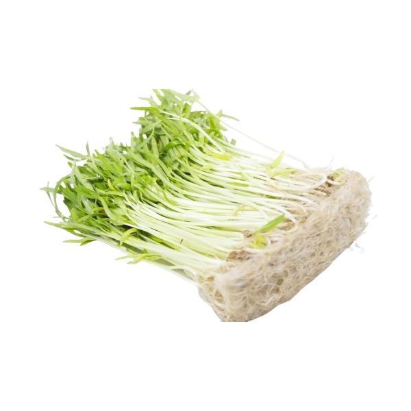 朝・市場に出荷された新鮮な野菜・果物 をその日の夕方に発送致します！（水・日を除く） 空心菜（クウシンサイ）の新芽(スプラウト)です。サラダで生のままでも、炒め物にしても、くせもなくどんな料理にもぴったりです。葉っぱがはさみのようで料理でも...