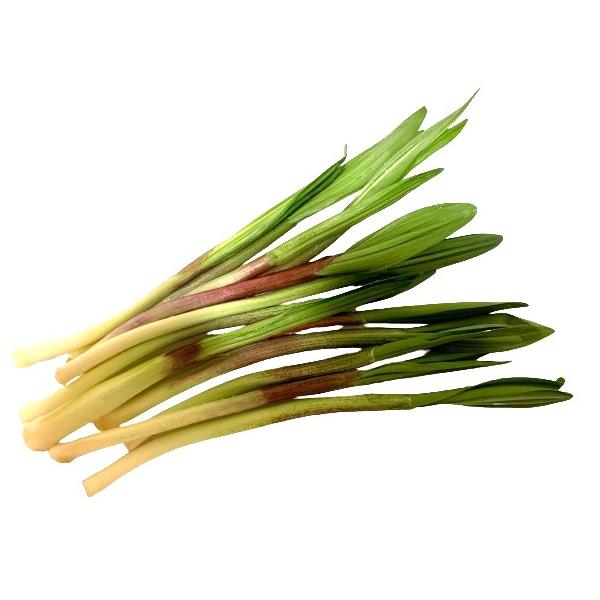 朝・市場に出荷された新鮮な野菜・果物 をその日の夕方に発送致します！（水・日を除く） 行者にんにく（ギョウジャニンニク）は北海道や東北地方の山菜として知られています。ニンニクと同じような香りがありますがニンニクではありません。おひたし、天ぷ...