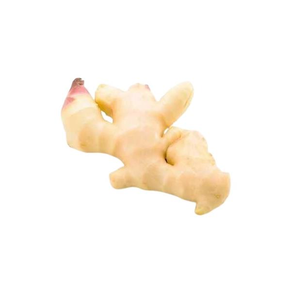 送料無料【朝市場直行】高知県ほか 新生姜 約100g x2個セット