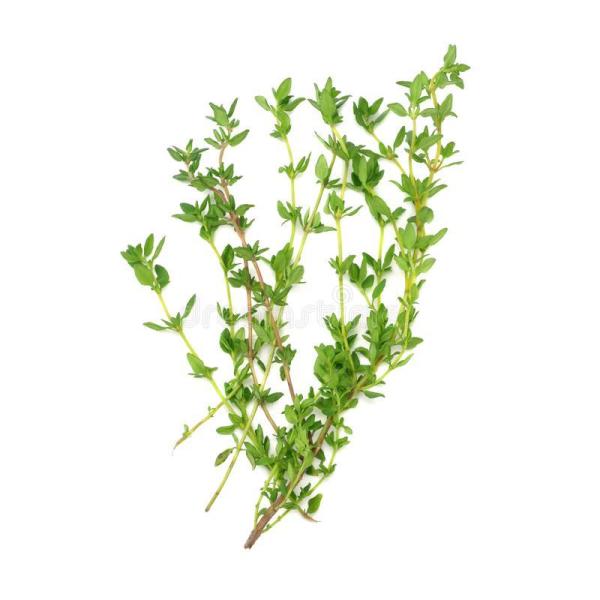 朝・市場に出荷された新鮮な野菜・果物 をその日の夕方に発送致します！（水・日を除く） 　　爽やかな芳香とほろ苦い風味があり、肉・魚介料理、煮込みのブーケガルニ、ドレッシングなどに利用されます。パンやバターに練り込んだり、油や酢に漬け込んで香...