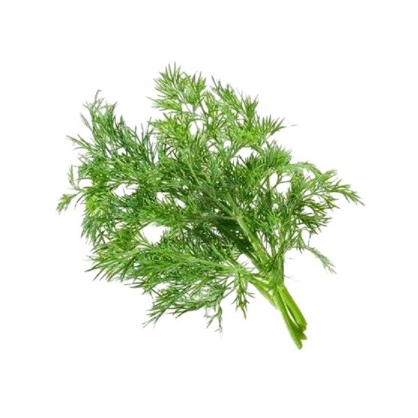 朝・市場に出荷された新鮮な野菜・果物 をその日の夕方に発送致します！（水・日を除く） 　　葉と茎は柔らかく繊細な食感で、口に含んだ時ははじめ穏やかに感じますが、ディル独特の爽やかな香りがあり、清涼感が後をひくという特徴があります。この清涼感...