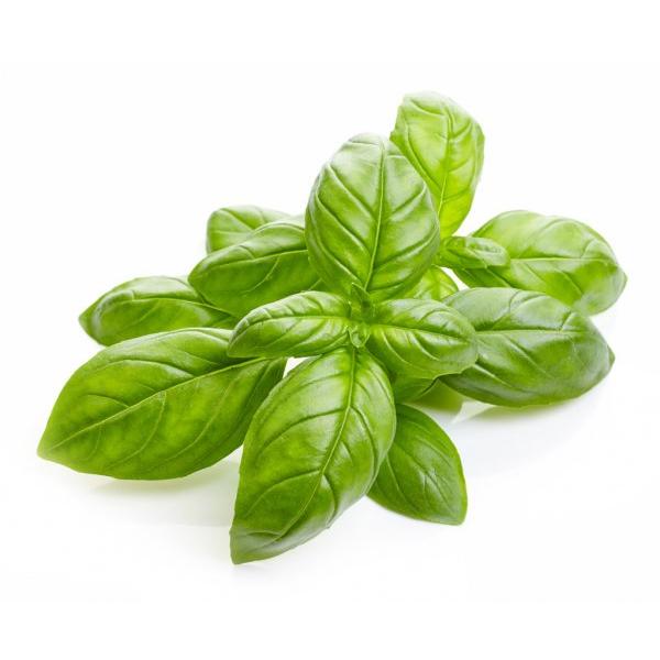 朝・市場に出荷された新鮮な野菜・果物 をその日の夕方に発送致します！（水・日を除く） バジルは、鮮やかな葉色とさわやかな風味が特徴で、イタリア料理に使われる代表的なハーブのひとつです。※画像は商品と異なる場合がございます。※産地が変更になる...