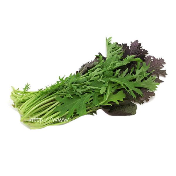 朝・市場に出荷された新鮮な野菜・果物 をその日の夕方に発送致します！（水・日を除く）赤サラダからし菜は、ハクサイやカブ、ダイコン、コマツナ、ミズナ、キャベツなどと同じ、アブラナ科の野菜です。名前の通り、独特のぴりっとした辛みが特徴。緑色のマ...