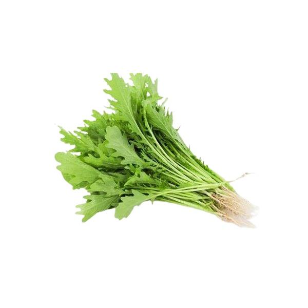 朝・市場に出荷された新鮮な野菜・果物 をその日の夕方に発送致します！（水・日を除く） 味はからしやマスタードと同じようなピリッとした辛さが特徴です。葉の周囲がギザギザしていて、生で食べても美味しいサラダからし菜や、加熱して美味しいからし菜は...