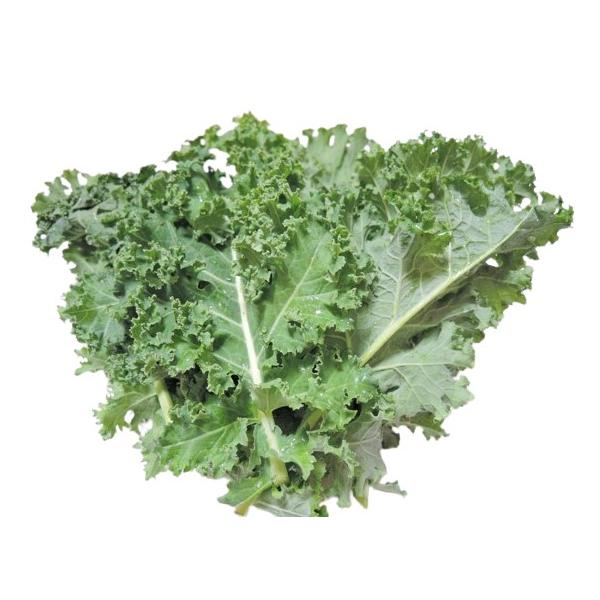 朝・市場に出荷された新鮮な野菜・果物 をその日の夕方に発送致します！（水・日を除く） 　　カーリーケールとは、細かくカールした、可愛らしい縮れた葉が特徴的なケールです。ケールの中でも苦味が少ない種類のため、サラダなどの生食にできます。ケール...