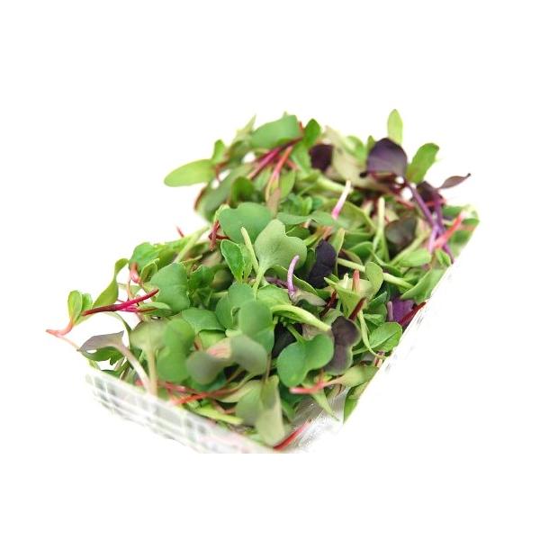 朝・市場に出荷された新鮮な野菜・果物 をその日の夕方に発送致します！（水・日を除く） マイクロリーフは、野菜やハーブを本葉や子葉の段階で早めに収穫したものをさし「マイクログリーン」とも呼ばれています。マイクロリーフは、種まきをしてから最初に...