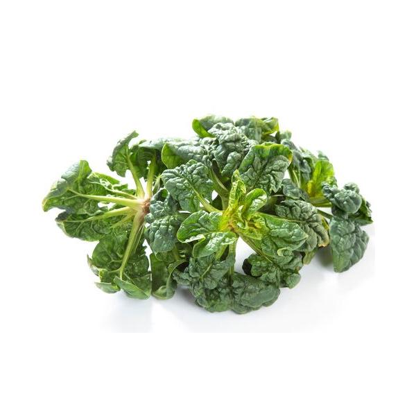 朝・市場に出荷された新鮮な野菜・果物 をその日の夕方に発送致します！（水・日を除く） 　　ちぢみほうれん草の特徴は、名前にもなっている葉っぱの縮みです。ちぢみほうれん草は普通のほうれん草よりも甘く、濃い味わいが特徴です。これは、冬の寒さから...