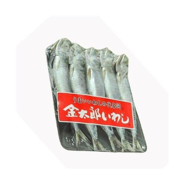 いわし d_sardin03_02.jpg