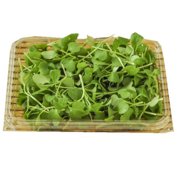 マイクロハーブは、様々な野菜の新芽を栽培したもので、新芽に多く含まれる栄養素を摂取することを目的として作られた野菜ですが、いまでは彩りやサラダのアクセントなどに使用されています。一般的に出回っているものは水耕栽培が多く、水溶性の液肥で育てて...
