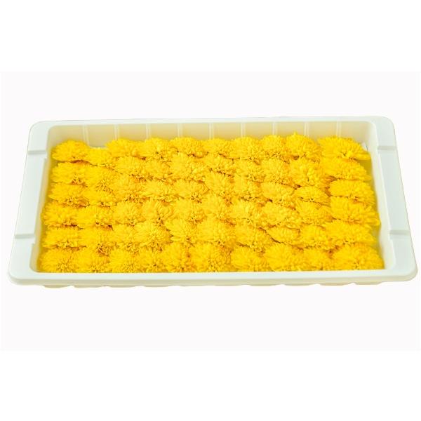 料理を華やかに飾ってみてはいかがでしょうか。料理の見た目が単色になりがちな時などにも使えるアイテムとしてご利用ください。黄色の小さな菊花です。殺菌目的だけではなく、花びらを散らして刺身と一緒に食べると、色どりや香りをお楽しみ頂けます。普段の...