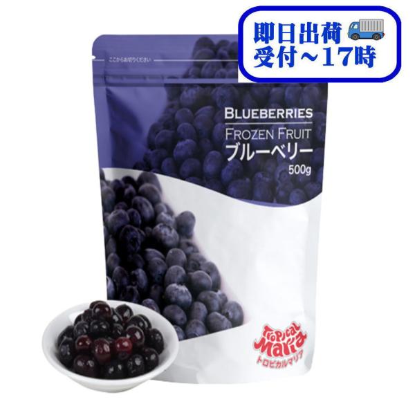 トロピカルマリア ブルーベリー 500g 冷凍フルーツ