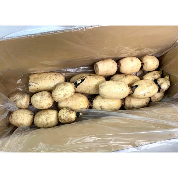 生産者：有坂農場（千葉県成田市）防除：殺虫剤1回・化肥0回露地栽培の新蓮根の登場です。有坂農園のある千葉県成田市では、その環境を作るところから、おいしさの秘訣がつまっています。1500万年前の地層から出土される、天然ミネラルたっぷりの“貝化...