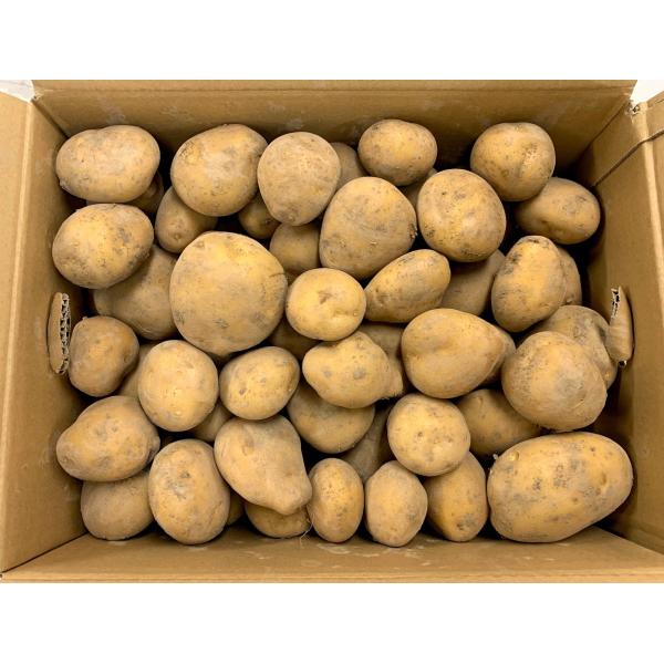 生産者：長有研（長崎県南島原市）防除：農薬7割減（虫2菌2）・化肥0回品種：ながさき黄金